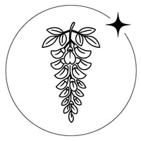 Glicinia, Rosa y Osmanthus